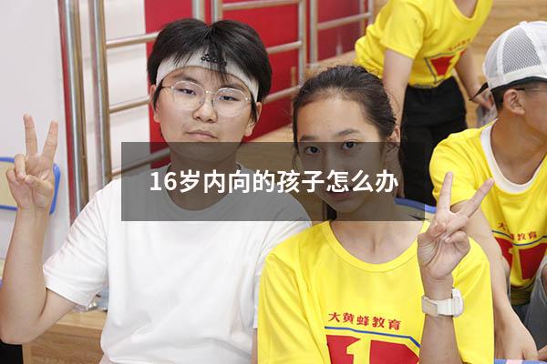 16岁内向的孩子怎么办