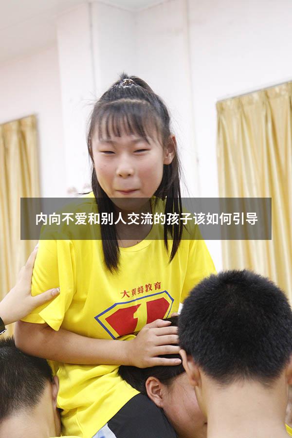 内向不爱和别人交流的孩子该如何引导