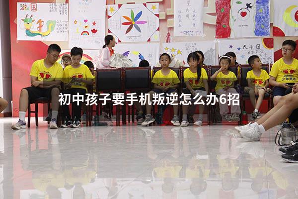 初中孩子要手机叛逆怎么办6招