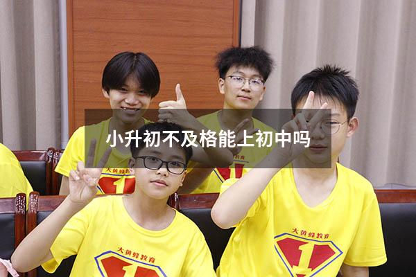 小升初不及格能上初中吗